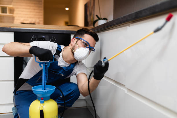 Best Best Pest Control Companies  in Happy Valley, CA