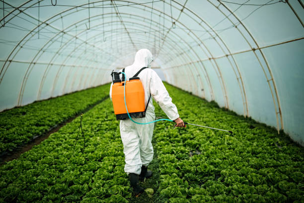 Best Pest Removal Services  in Happy Valley, CA