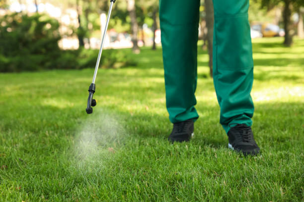 Best Best Pest Control Companies  in Happy Valley, CA