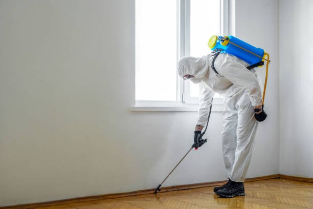 Best Pest Control Near Me in Happy Valley, CA