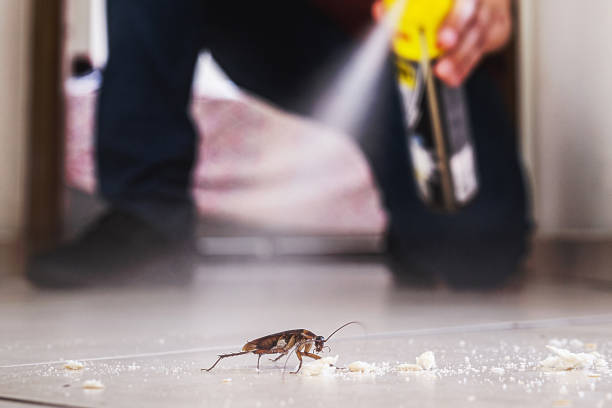 Best Affordable Pest Control Services  in Happy Valley, CA