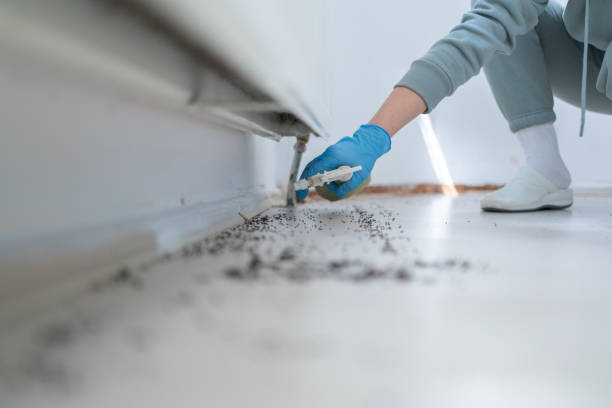 Best Bed Bug Extermination  in Happy Valley, CA