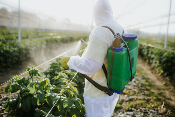 Best Pest Control Near Me  in Happy Valley, CA